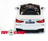  Toyland  BMW 6 GT - Toyland  BMW 6 GT