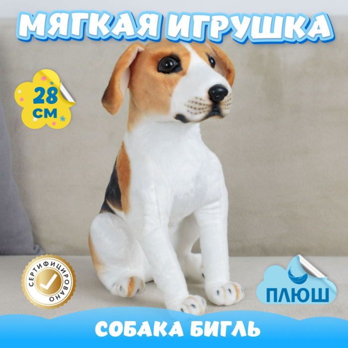   KiDWoW   392987825