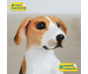   KiDWoW   392987825 - INF_LW602819906W_1-1698770568