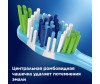  Oral-B   Complex        - Oral-B   Complex     ,  