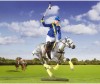  Breyer -        - Breyer -       