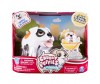  Spin Master    2  Chubby Puppies - Spin Master    2  Chubby Puppies