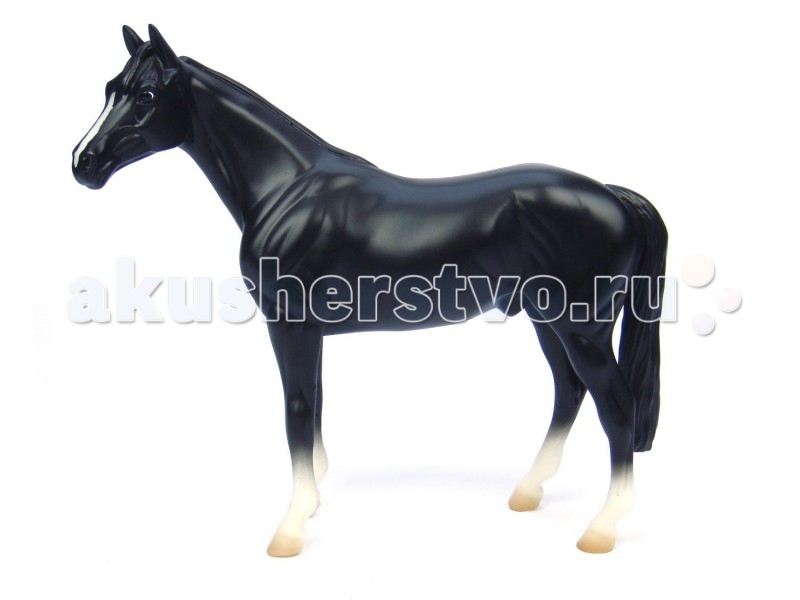  Breyer    