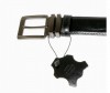  Wild Bear  RM-071m - Wild Bear  RM-071m