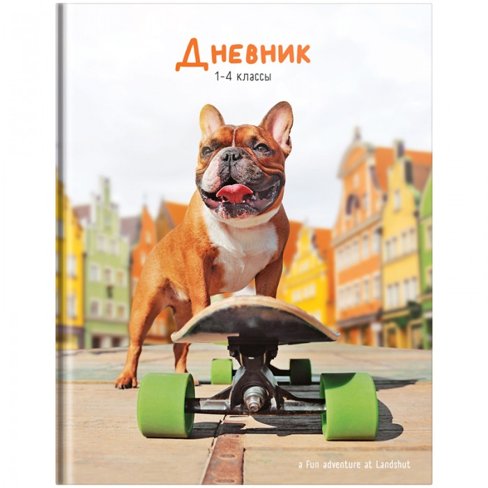     Pug on skateboard 1-4  48 