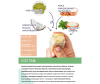  ProteinRex     EXTRA    - 120  40  - 3-1648475287