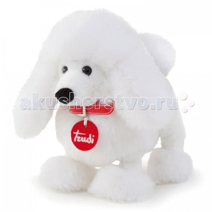   Trudi   20 