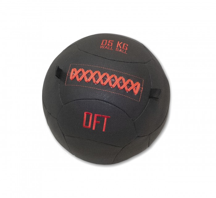  Original FitTools   Wall Ball Deluxe 5 