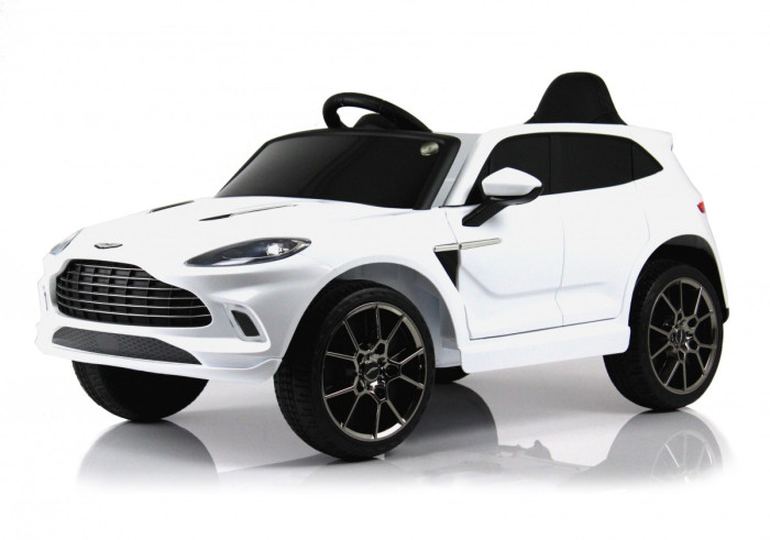  RiverToys Aston Martin P888PP