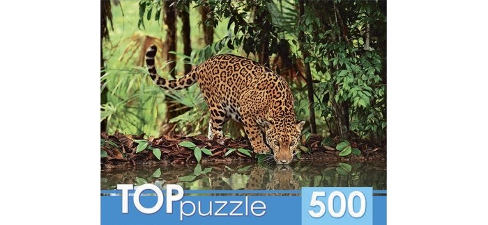     TOPpazzle    (500 )