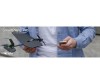  TobyRich         SmartPlane Pro - TobyRich         SmartPlane Pro