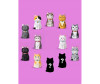  Mihi Mihi   Small Bell Cat 9  - Mihi Mihi   Small Bell Cat 9 