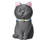  Mihi Mihi   Small Bell Cat 9  - Mihi Mihi   Small Bell Cat 9 