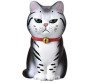  Mihi Mihi   Small Bell Cat 9  - Mihi Mihi   Small Bell Cat 9 