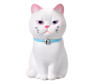  Mihi Mihi   Small Bell Cat 9  - Mihi Mihi   Small Bell Cat 9 