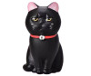  Mihi Mihi   Small Bell Cat 9  - Mihi Mihi   Small Bell Cat 9 