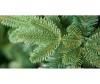  Crystal Trees    150  - Crystal Puzzle    150 