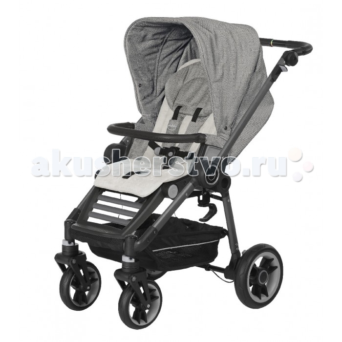   Teutonia Bliss Graphite