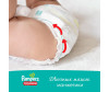  Pampers - Pants   .4 (9-15 ) 176 . - Pampers - Pants   .4 (9-15 ) 176 .