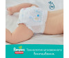  Pampers - Pants   .4 (9-15 ) 176 . - Pampers - Pants   .4 (9-15 ) 176 .