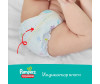  Pampers - Pants   .4 (9-15 ) 176 . - Pampers - Pants   .4 (9-15 ) 176 .