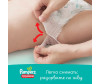  Pampers - Pants   .4 (9-15 ) 176 . - Pampers - Pants   .4 (9-15 ) 176 .