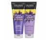  John Frieda Sheer Blonde      Violet Crush 250  - John Frieda Sheer Blonde      Violet Crush 250 