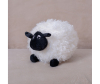   KiDWoW   366148696 - DL604218539W__3__1_.JPG-1681384175