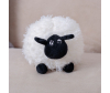   KiDWoW   366148696 - DL604218539W__1__1_.JPG-1698765743