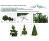  Green Trees     210  - Green Trees     210 