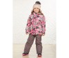  Sweet Berry    (  ) 834127 - Sweet Berry    (  ) 834127