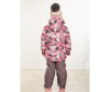  Sweet Berry    (  ) 834127 - Sweet Berry    (  ) 834127