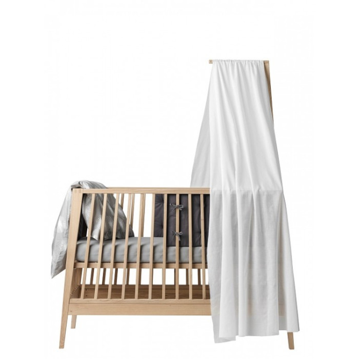  Leander    Linea