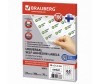  Brauberg   100  3821.2  65 . - Brauberg   3821.2  65 .