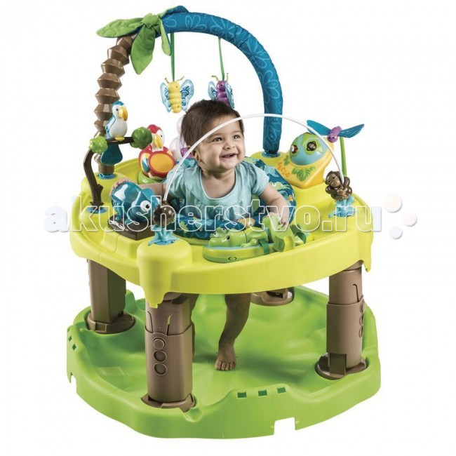   Evenflo ExerSaucer Amazon