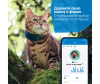  Tractive       GPS CAT 4 LTE - 5_Tractive_gps_кота-1643886407
