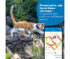  Tractive       GPS CAT 4 LTE - 3_Tractive_gps_кота-1643886142