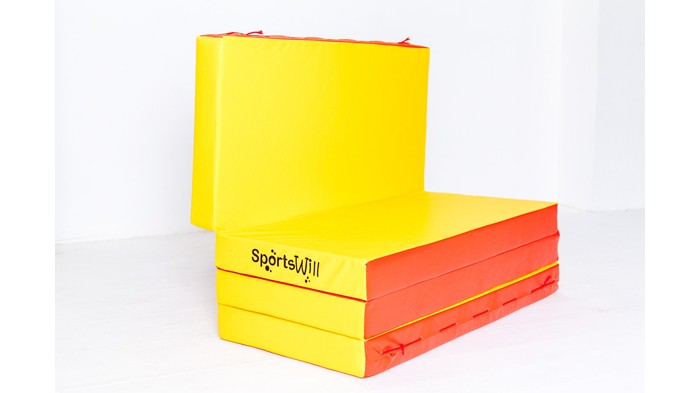  SportsWill    20010010 