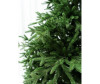  National Tree Company     240  - National Tree Company     240 