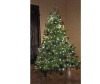  National Tree Company     240  - National Tree Company     240 