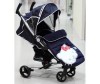   Brevi Ginger Hello Kitty - Brevi Ginger Hello Kitty