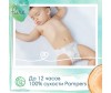  Pampers  Pure Protection .2 (4-8 ) 132 . - Pampers  Pure Protection .2 (4-8 ) 132 .