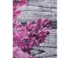  Asil Home       2 . - Asil Home       -A2