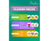     Flower Fields 11x7.5  -    Flower Fields 11x7.5 