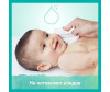  Pampers     Coconut Pure 84 . - Pampers     Coconut Pure 84 .