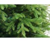  Crystal Trees    225  - Crystal Trees    225 