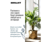  Idealist Lite      252520  12  - DSQUARE25-GLD_3-1671108475