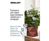  Idealist Lite      252520  12  - DSQUARE25-BNZ_3-1671107915