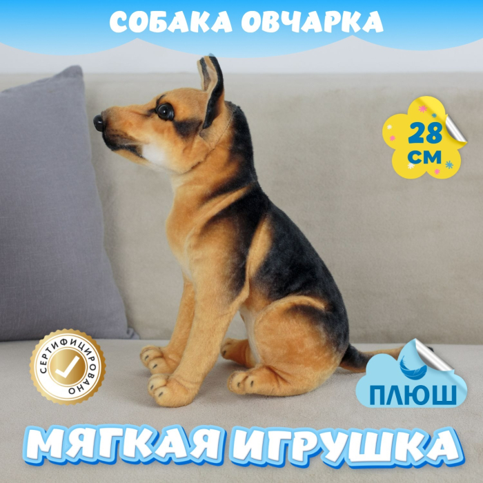   KiDWoW   392928821