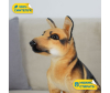   KiDWoW   392928821 - INF_LW602819909BK_1-1698771841